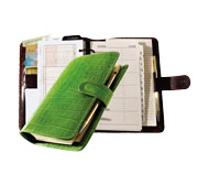 6-hole planner system with green croco-grain leather jacket